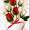 carolinesanc482